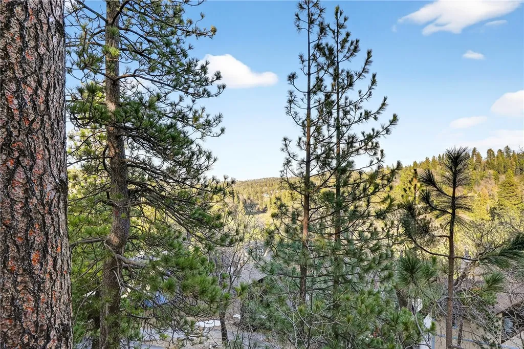 Additional image 55 of 26633 Thunderbird Dr, Lake Arrowhead, CA 92352