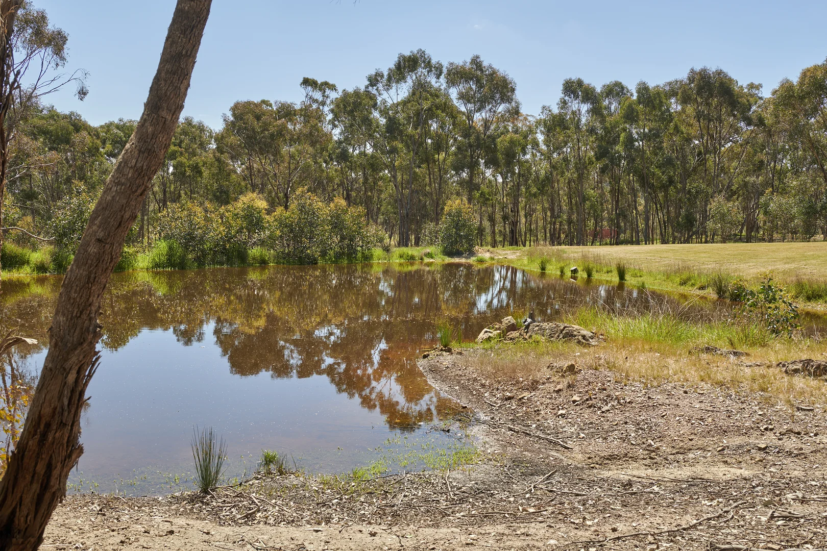 Additional image 24 of 427 McPhersons Lane, Heathcote VIC 3523