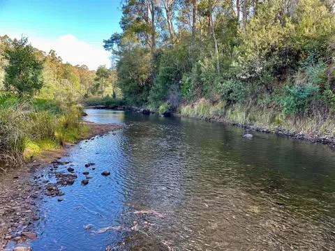 Additional image 8 of - Pages Road, Calder TAS 7325