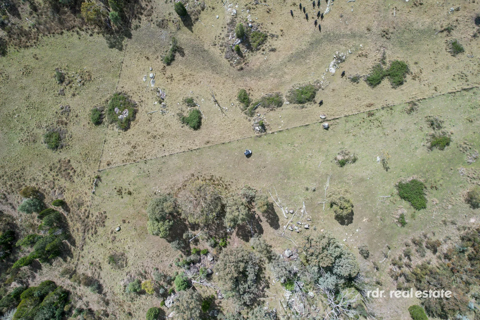 Additional image 7 of 1305 Bingara Road, Bundarra NSW 2359