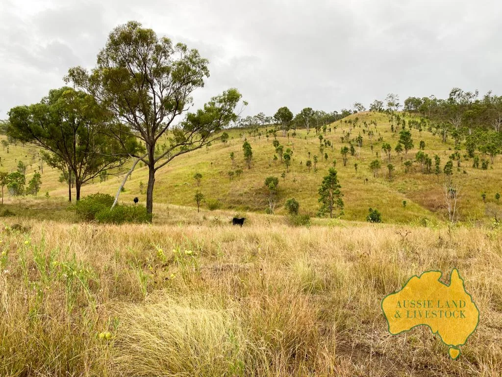 Additional image 33 of 59 MUNGY ROAD, Mungy QLD 4671