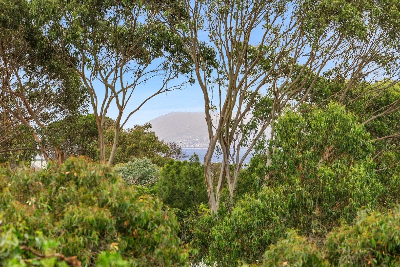 Additional image 4 of 33 Old Coach Road, Moggs Creek VIC 3231