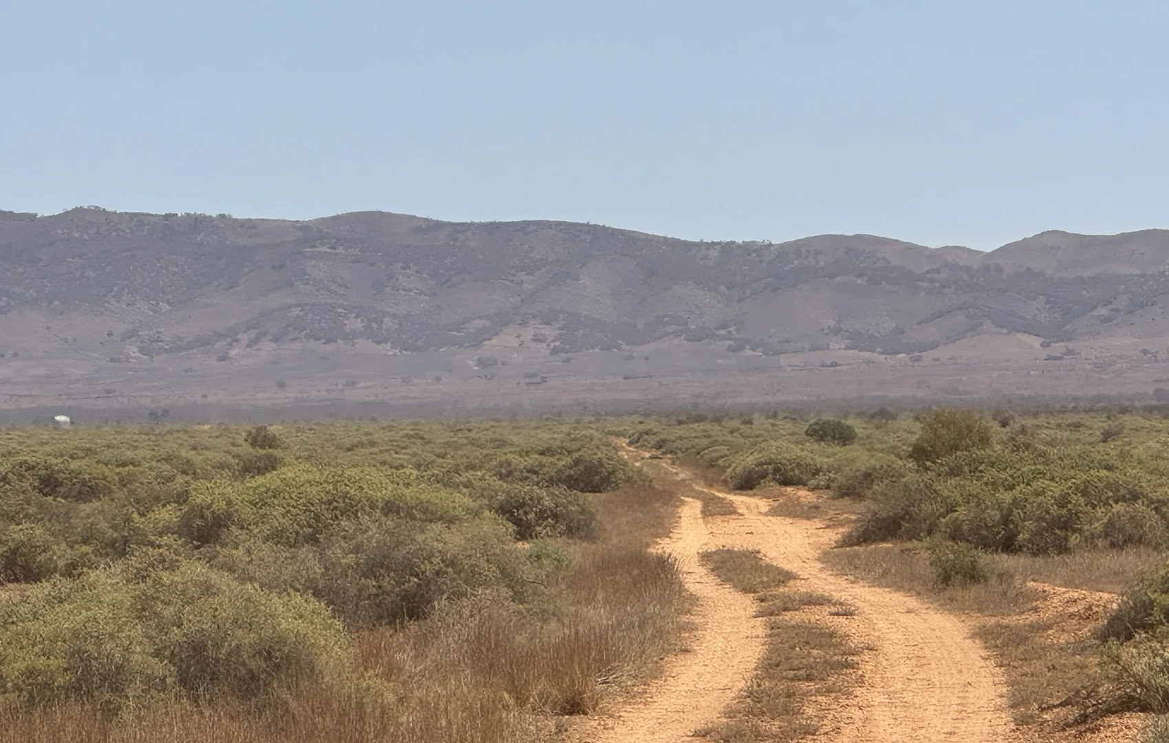 Additional image 12 of Minburra/Lynch Road, Minburra SA 5431