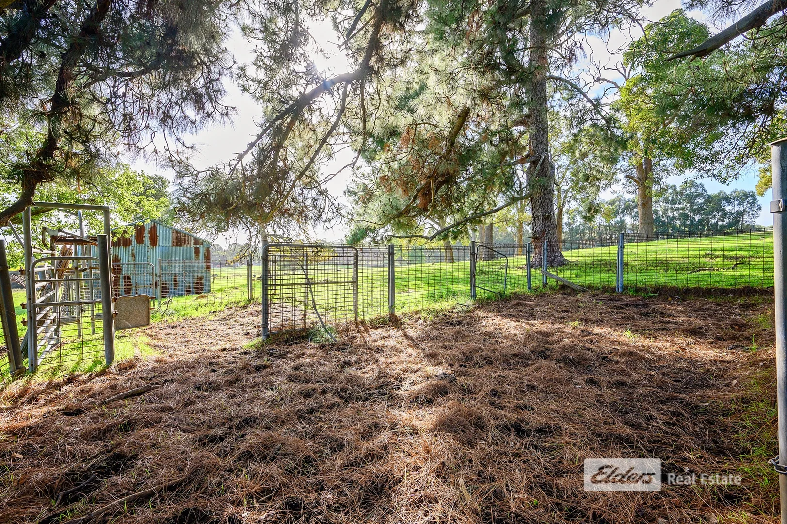 Additional image 13 of 130 | 131 Thomson Street, Donnybrook WA 6239