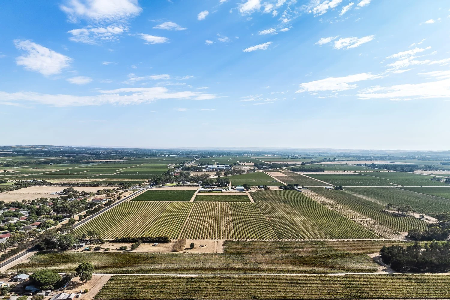 Additional image 24 of 14 Vine Vale Road, Tanunda SA 5352