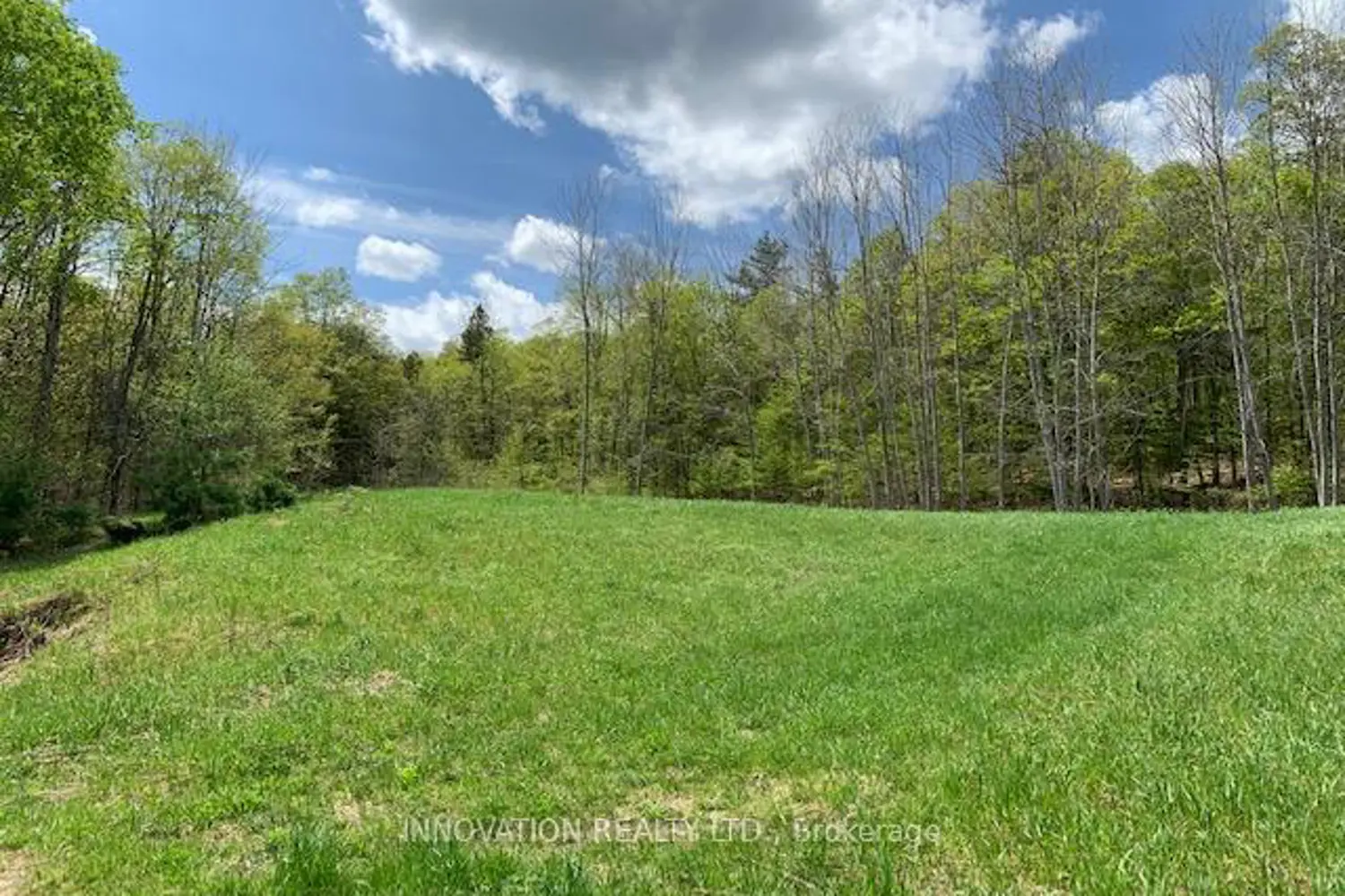 Additional image 6 of 1603 Flower Station Road