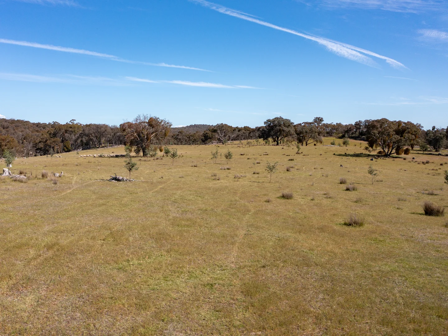 Additional image 4 of 3/7 East Triangle Road, Byawatha VIC 3678