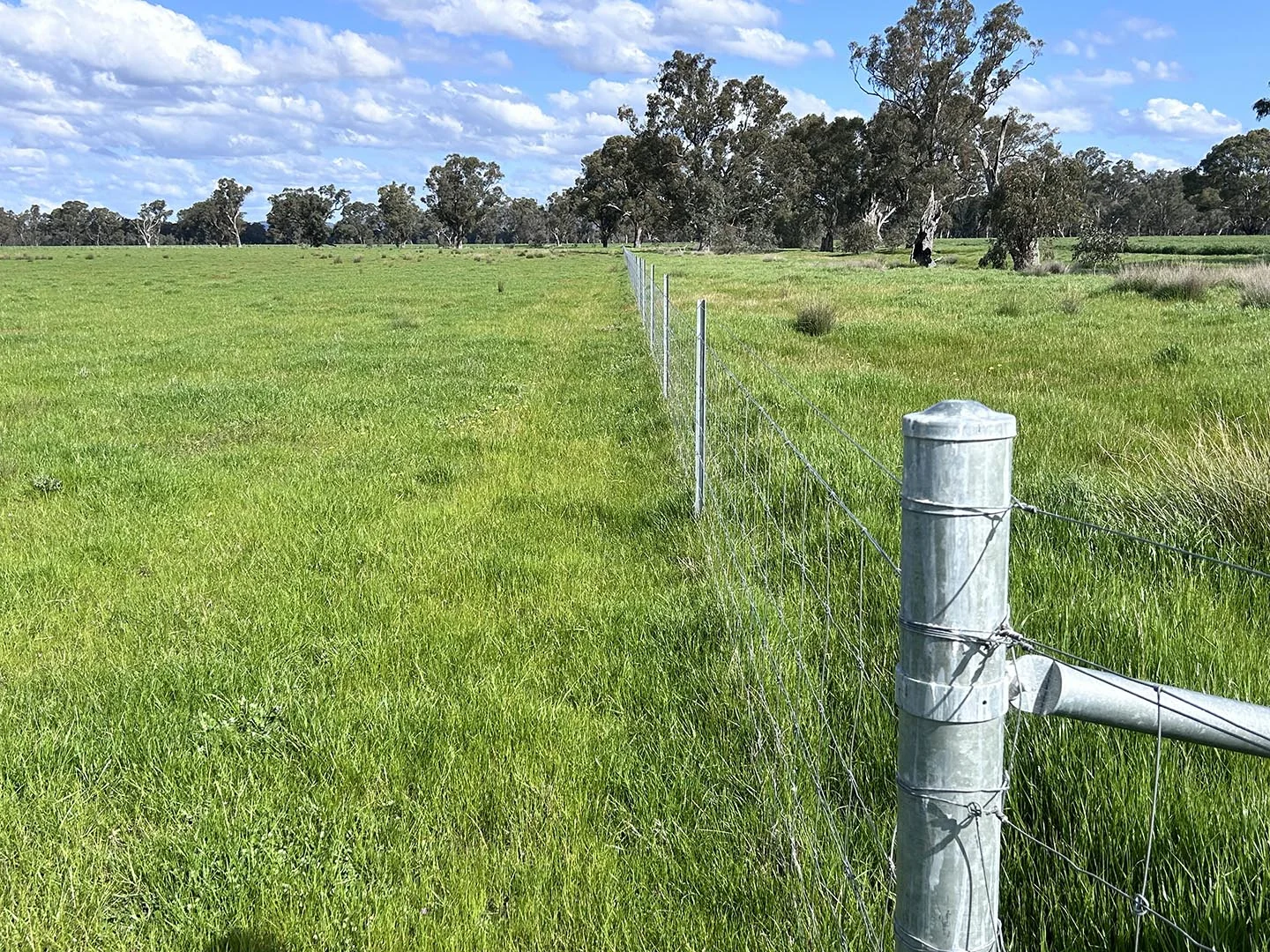 Additional image 5 of 1241 Drysdale Road, Pranjip VIC 3666