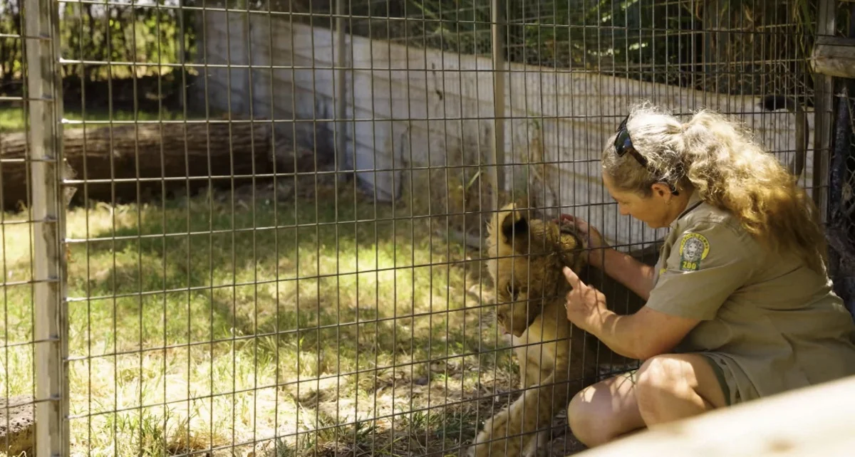 Additional image 21 of 21 Baines Road, Pilton QLD 4361