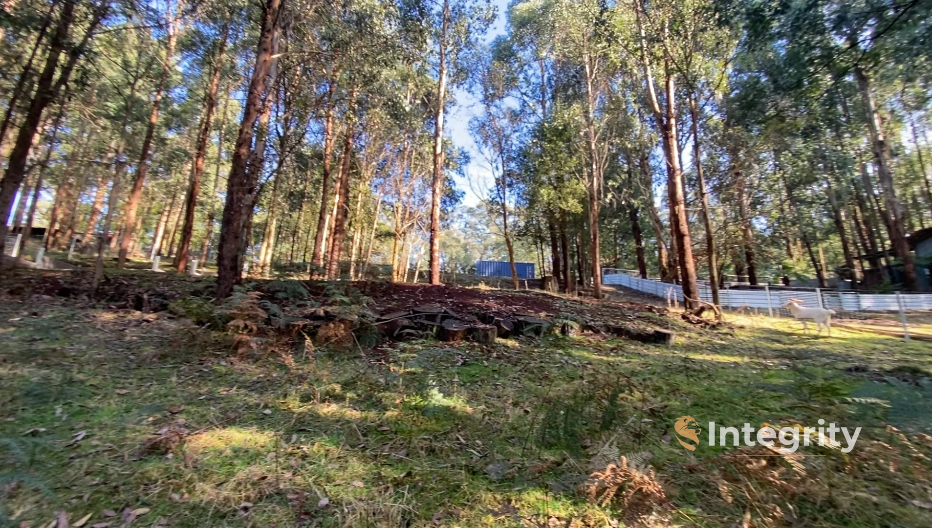 Additional image 23 of 47 Bald Spur Road, Kinglake VIC 3763