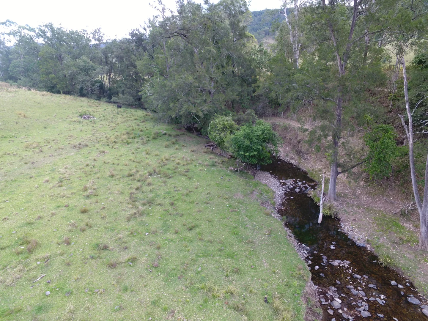 Additional image 2 of 343 Berrico Creek Road, Gloucester NSW 2422