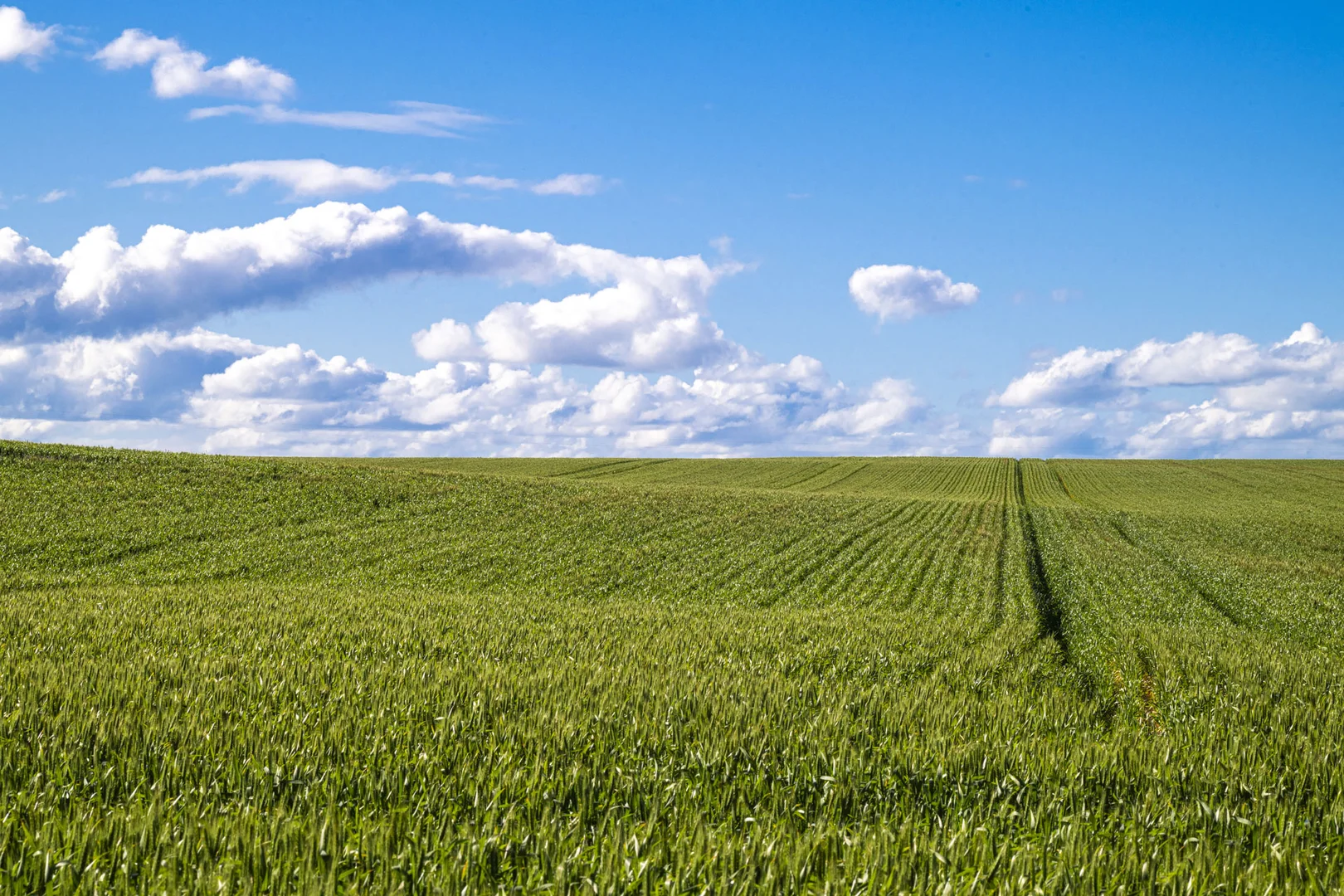 Additional image 19 of Midlands Road, Marchagee WA 6515