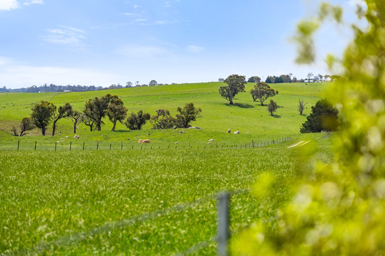 Additional image 60 of 192 Dawsons Creek Road Bannister Via, Crookwell NSW 2583