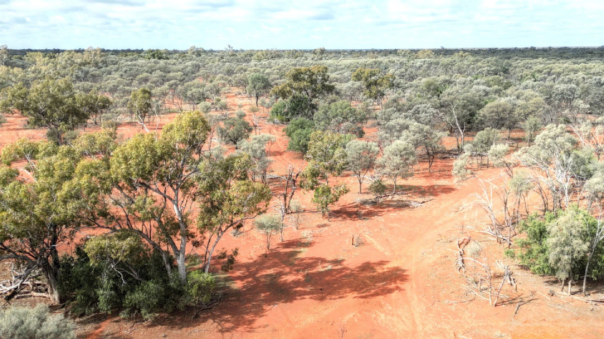 Additional image 13 of "Nardoo" Station 872 Davidson Road, Gunderbooka NSW 2840