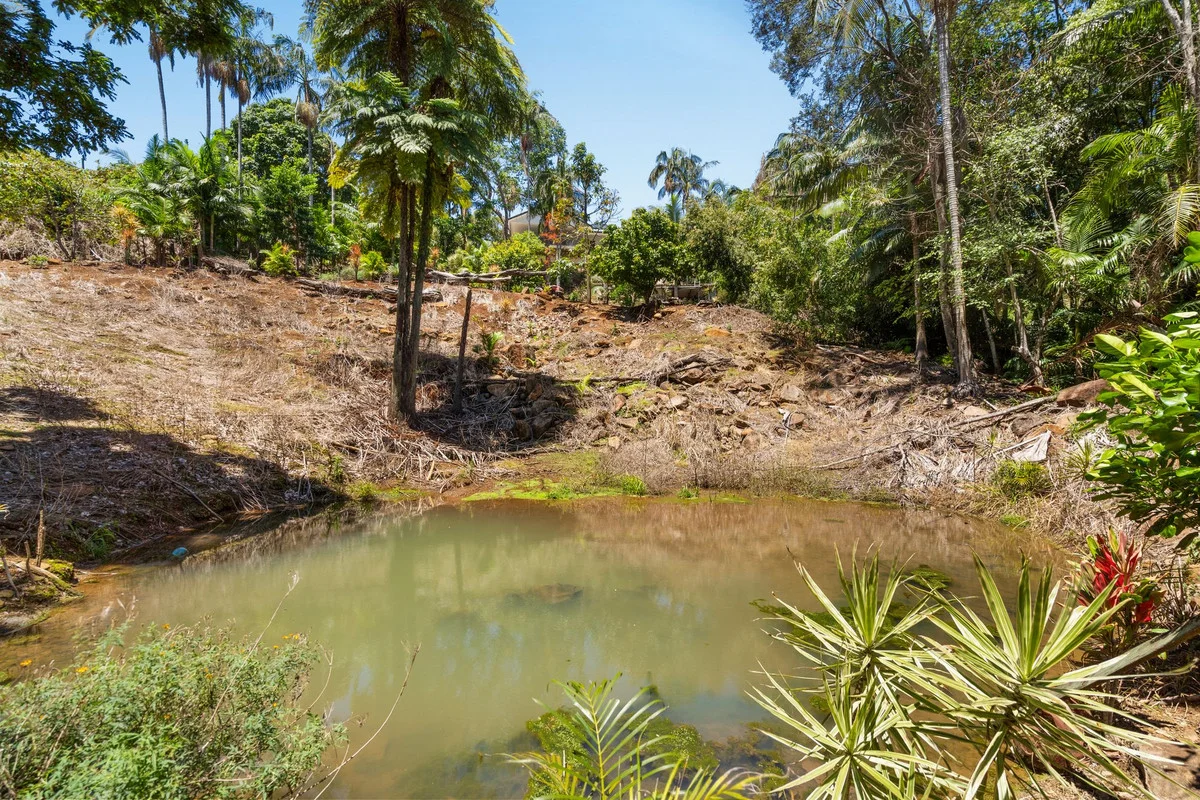 Additional image 10 of 107 Fraser Drive, Terranora NSW 2486