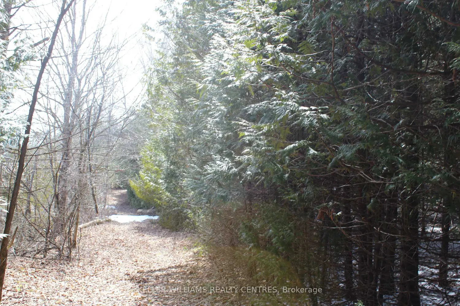 Additional image 4 of Tba Concession Rd 2