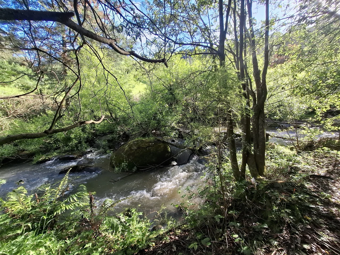 Additional image 2 of 273 Boolarra-Foster Road, Foster VIC 3960