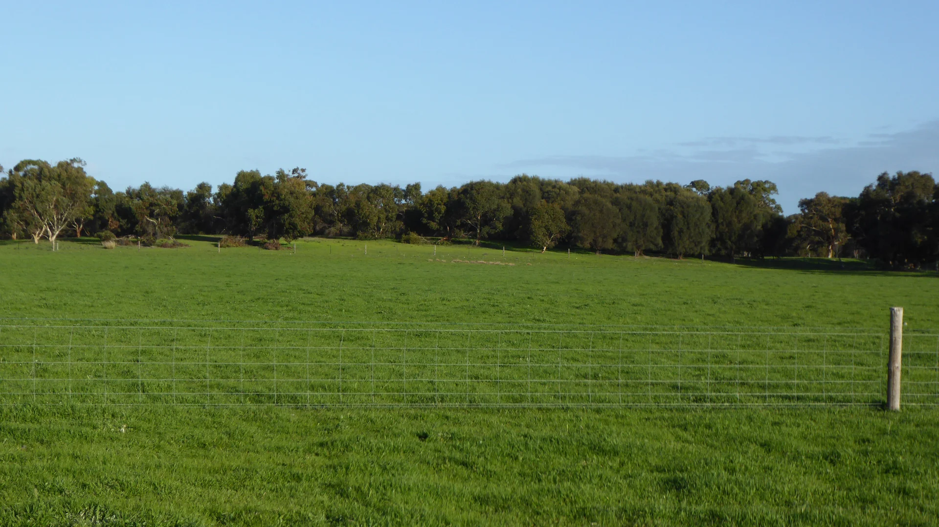 Additional image 8 of "Jacks" Sec 7 Schultz Road, Tintinara SA 5266