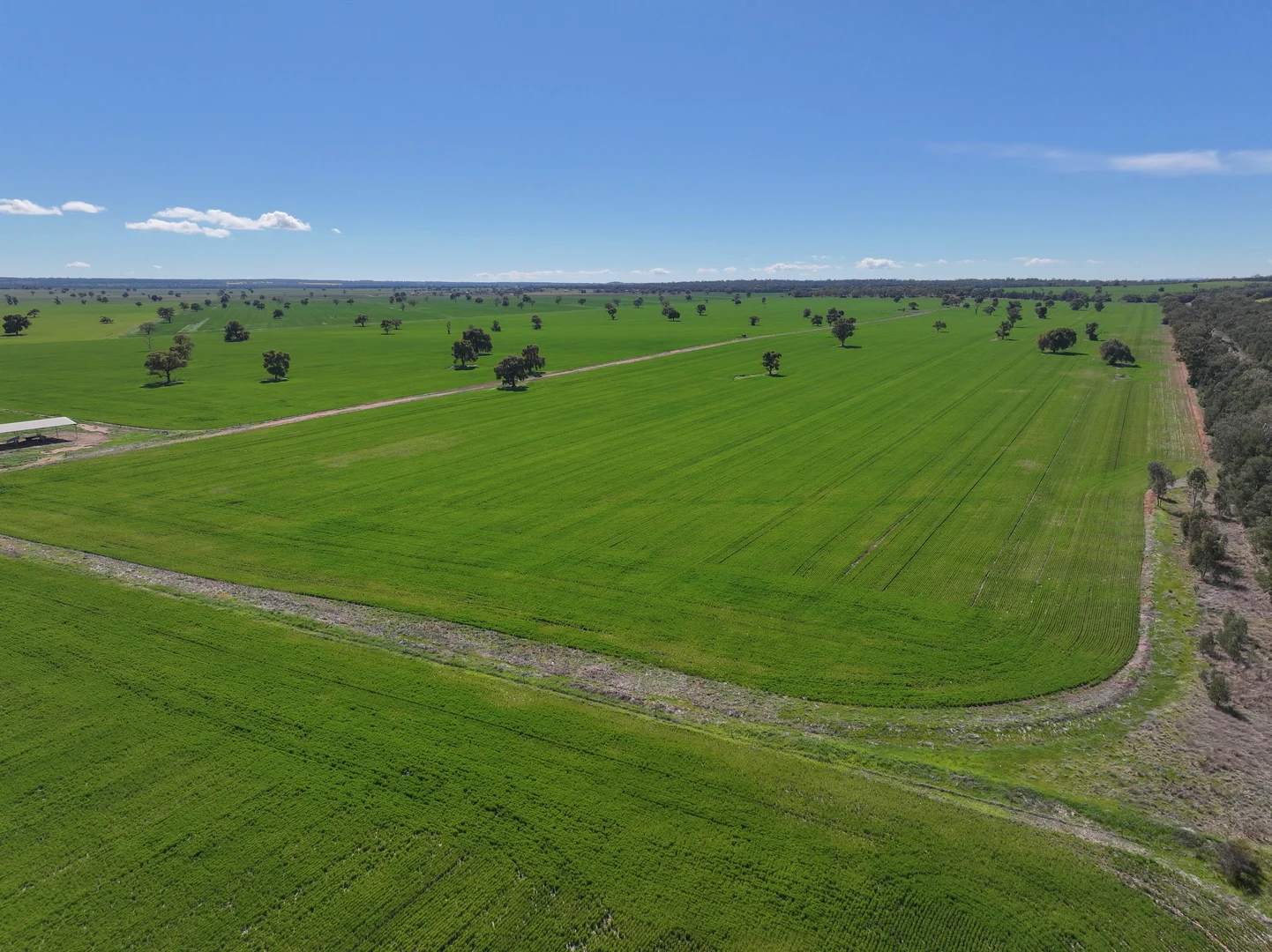 Additional image 20 of 2666 Henry Parkes Way, Gunningbland NSW 2876