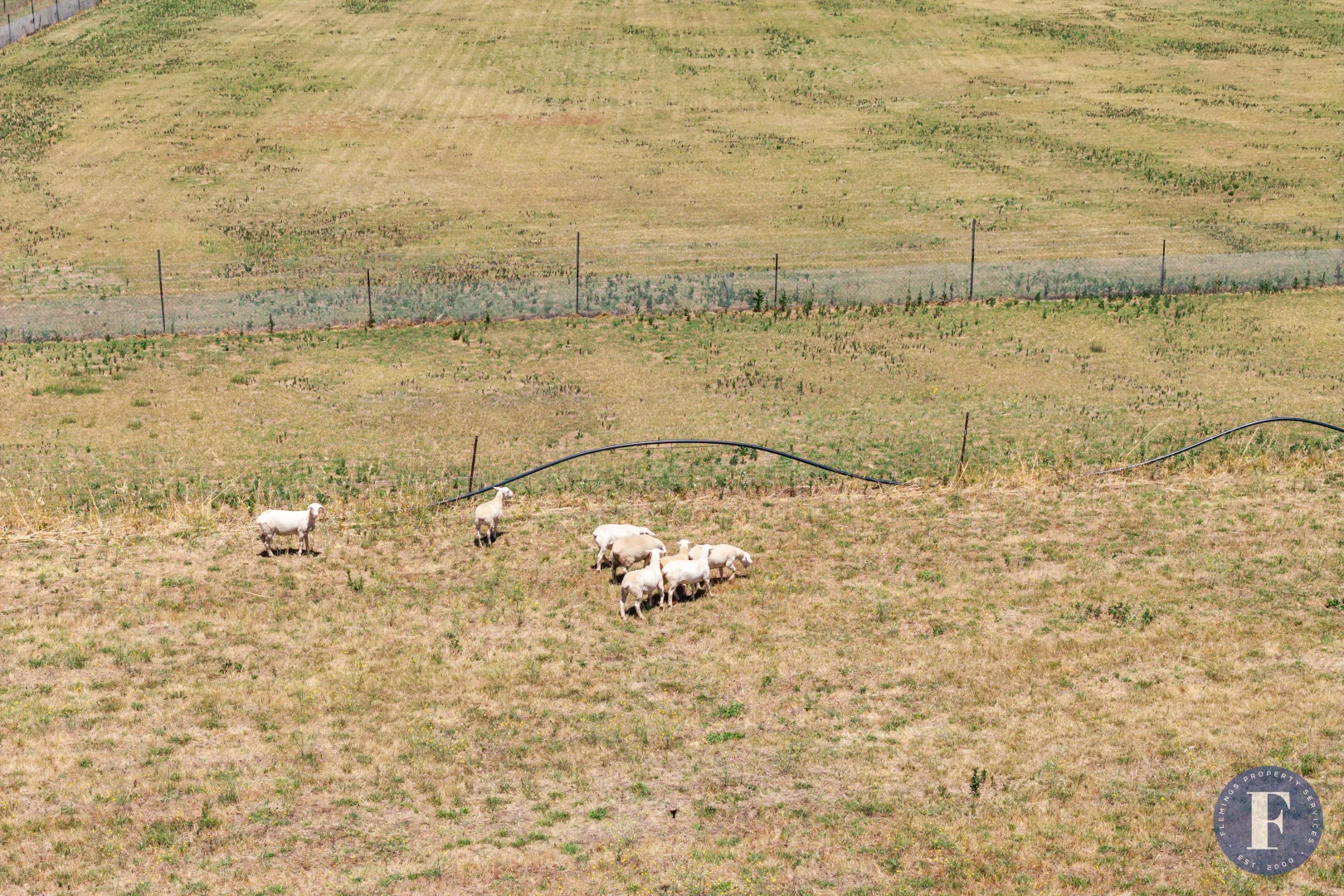 Additional image 35 of 1916 Canowindra Road, Cowra NSW 2794