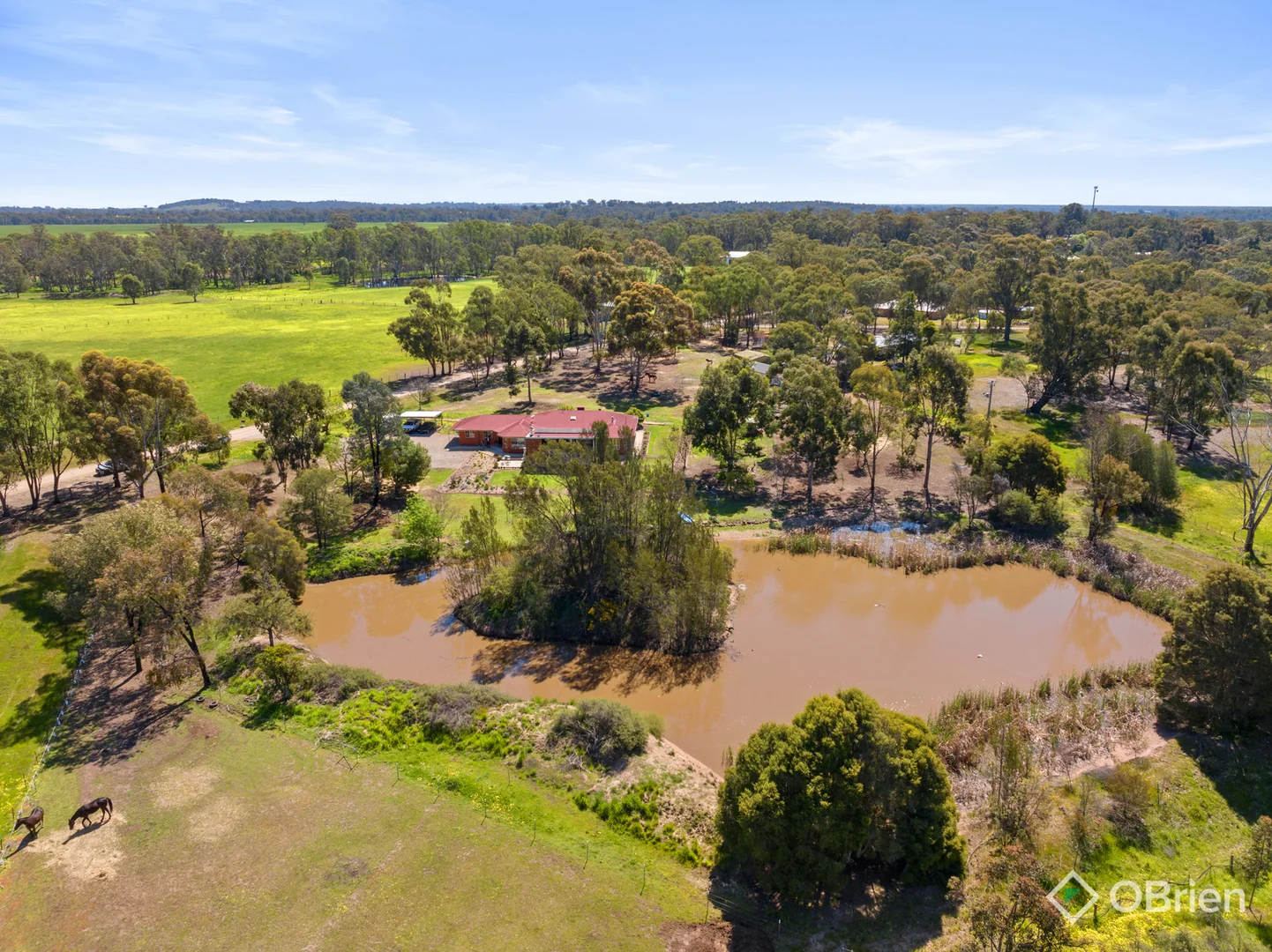 Additional image 42 of 111 Everitt Road, Peechelba VIC 3678