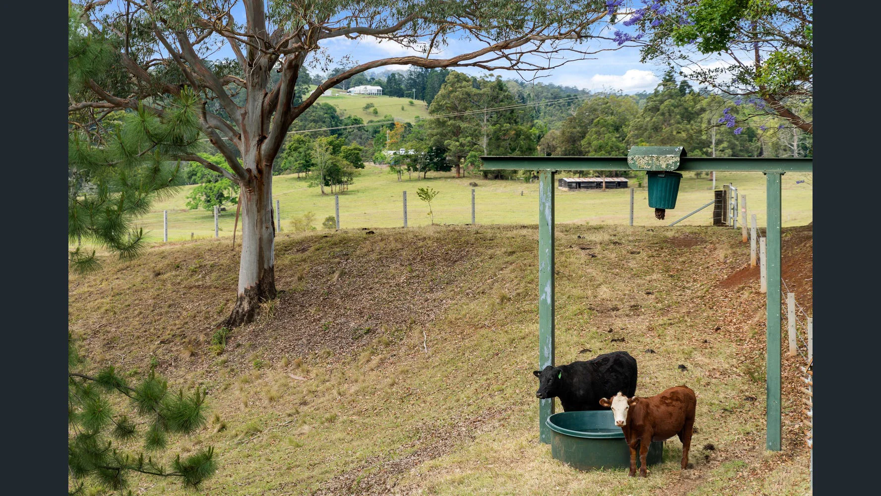 Additional image 31 of 144 Link Road, Wadeville NSW 2474