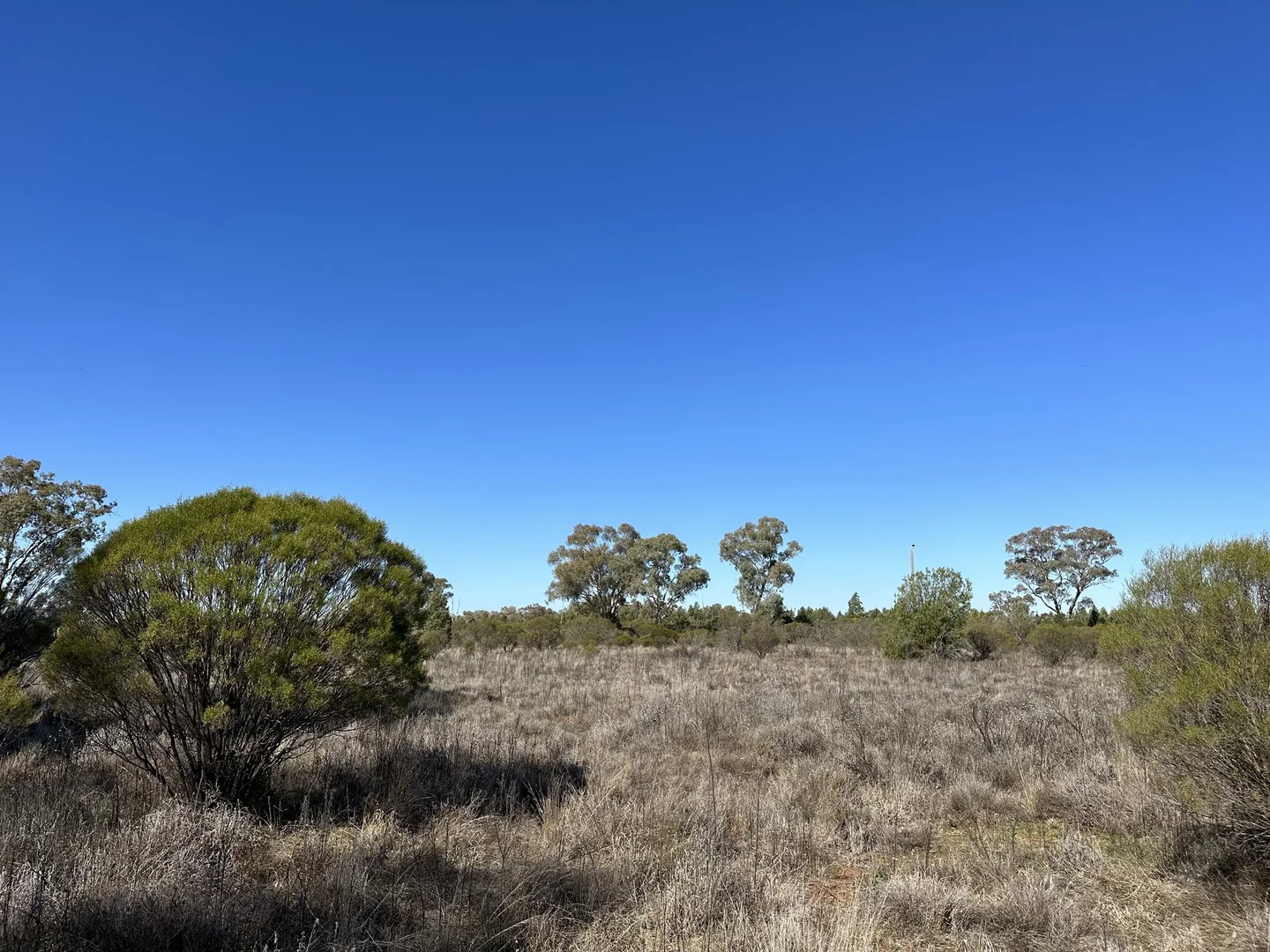 Additional image 6 of 22 Balowra Road, Nymagee NSW 2831