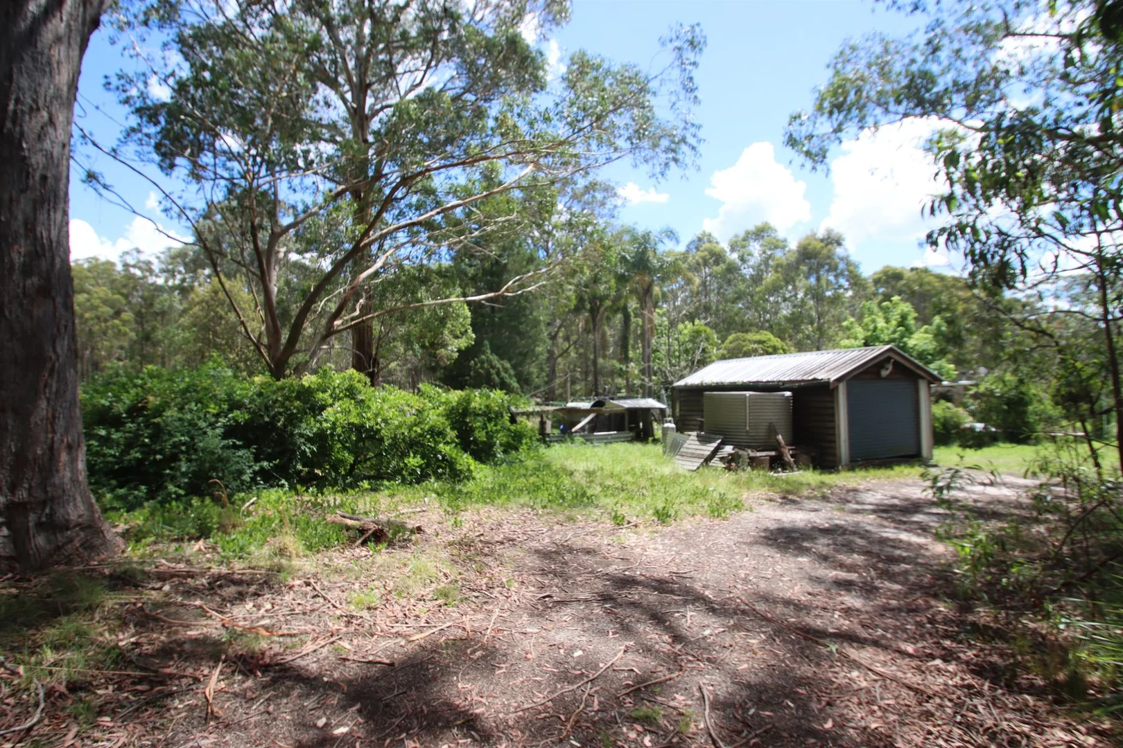 Additional image 17 of 2994 Mount Lindesay Road, Tenterfield NSW 2372