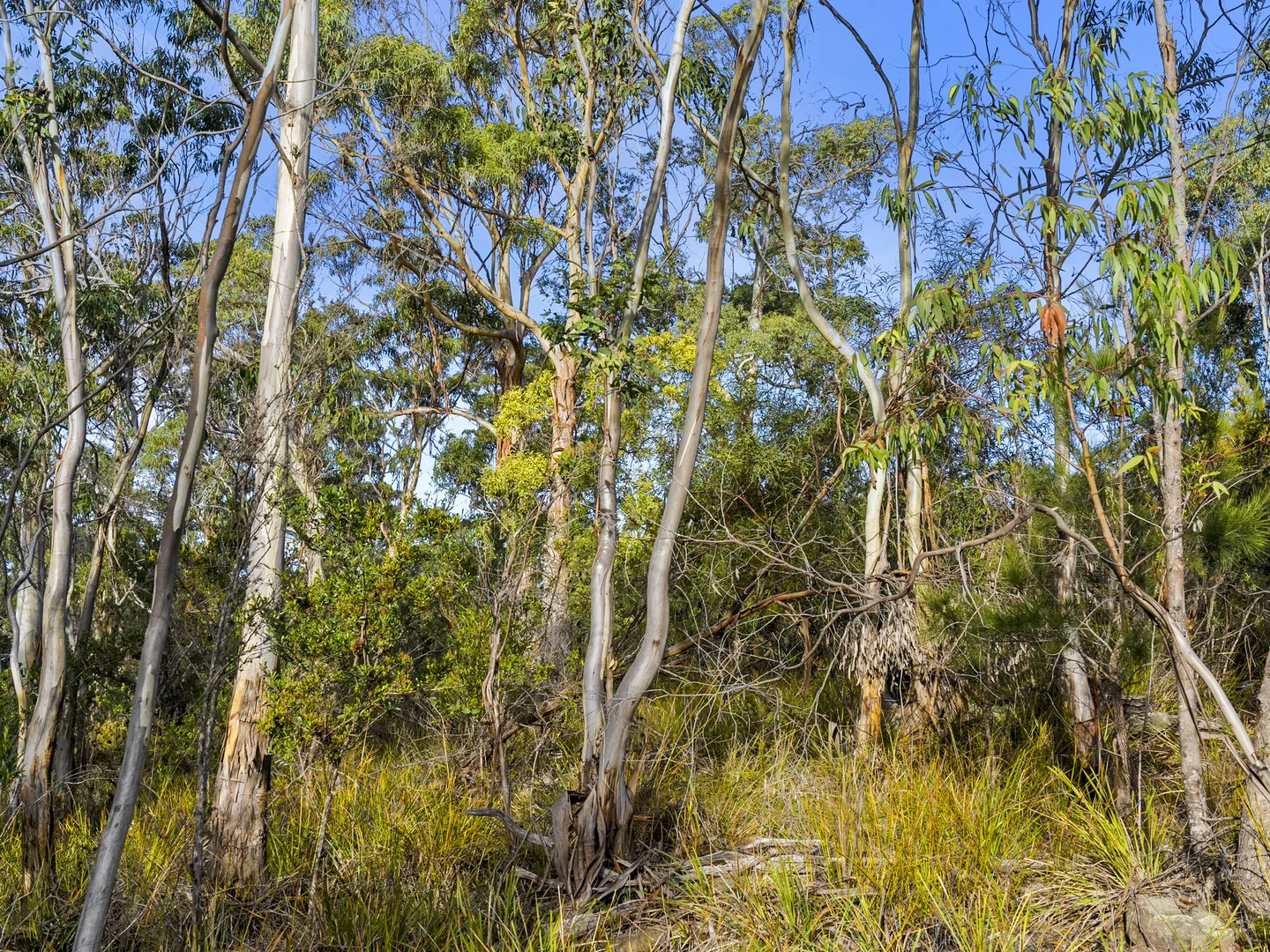 Additional image 17 of 573 White Beach Road, White Beach TAS 7184