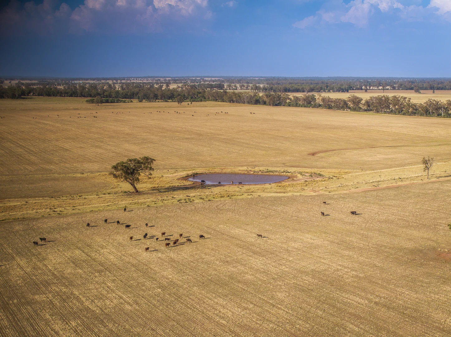 Additional image 16 of Mentone 1521 Bruie Plains Road, Trundle NSW 2875