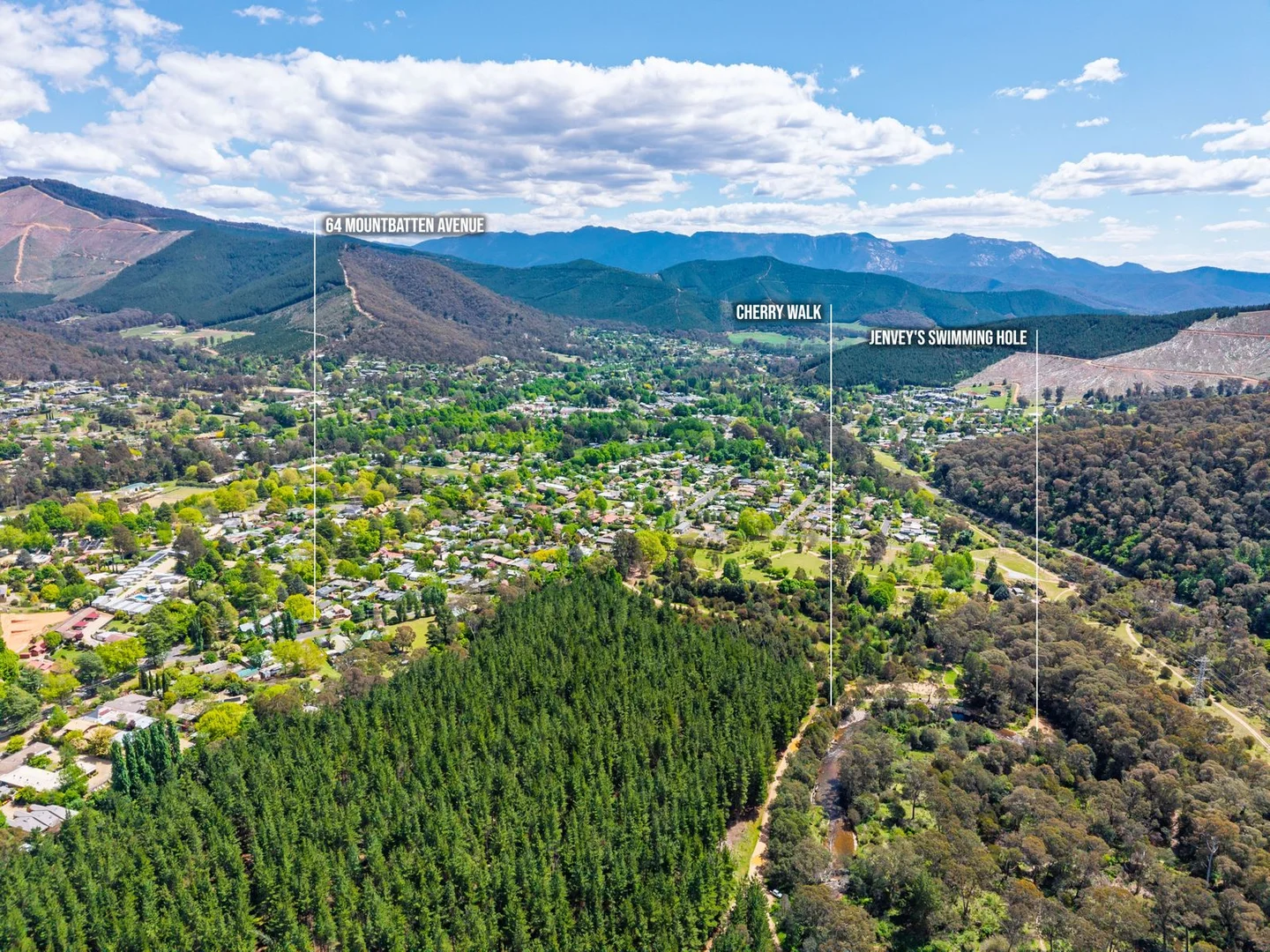 Additional image 21 of 64 Mountbatten Avenue, Bright VIC 3741
