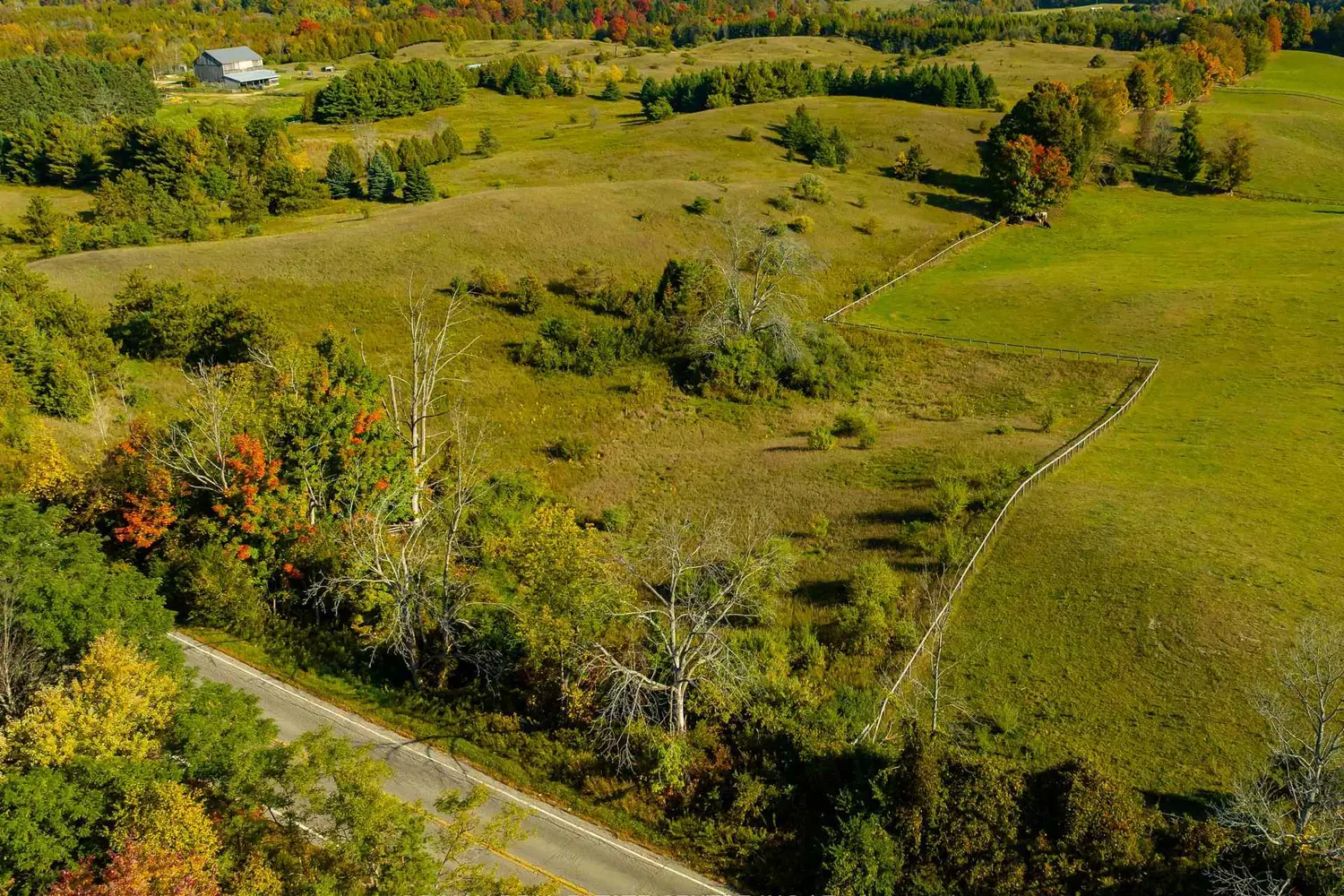 Additional image 16 of 17479 The Gore Road