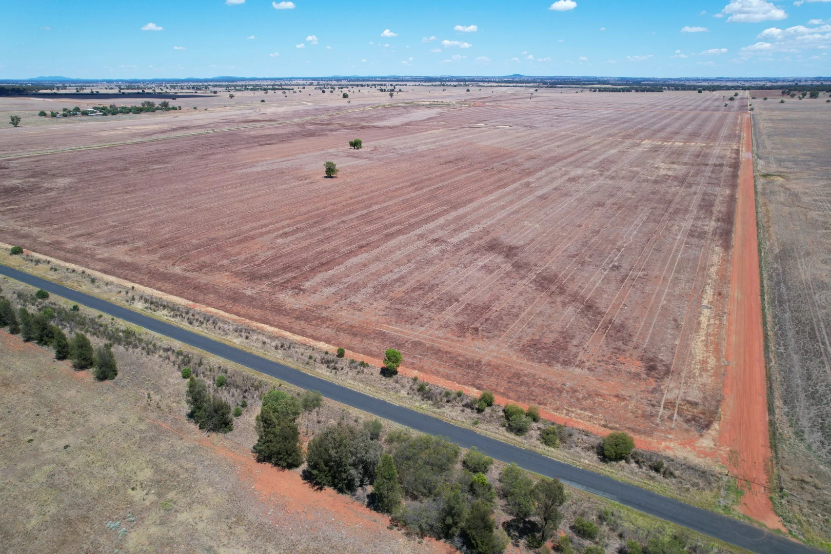 Additional image 18 of 2190 Yarrabandai Road, Trundle NSW 2875