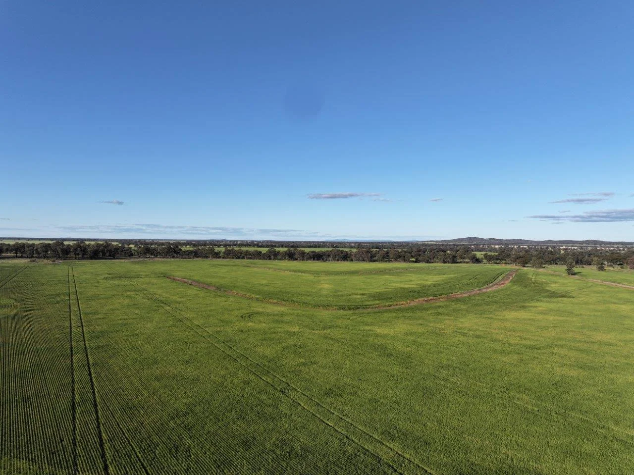 Additional image 6 of Part Westbury Goldfields Way, Barmedman NSW 2668