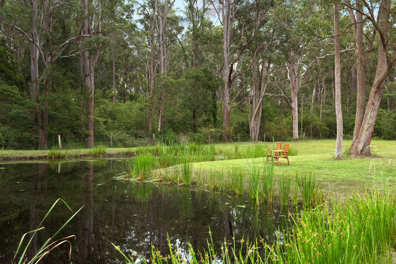 Additional image 7 of 310 Thompsons Lane, Stroud NSW 2425