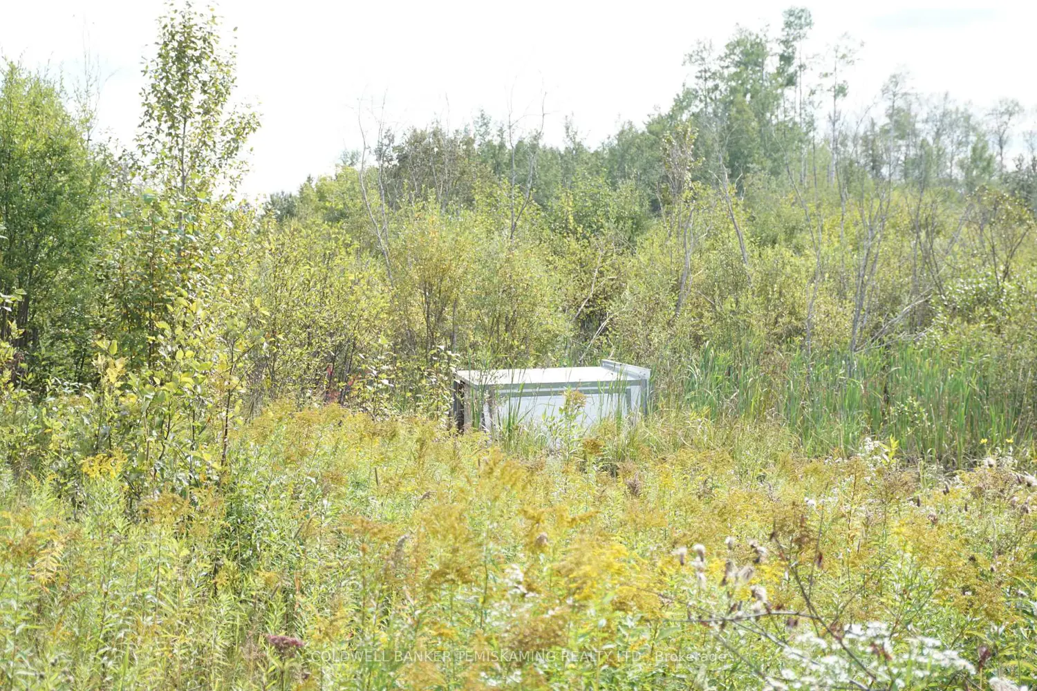 Additional image 15 of Lot 1 Campbell's Road