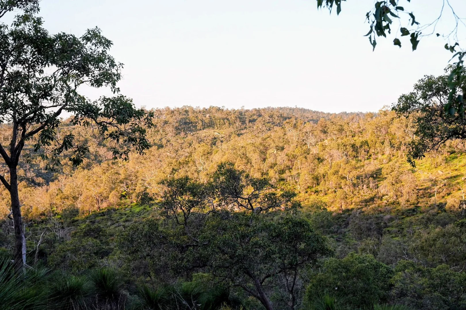 Additional image 21 of 245 Pechey Road, Swan View WA 6056