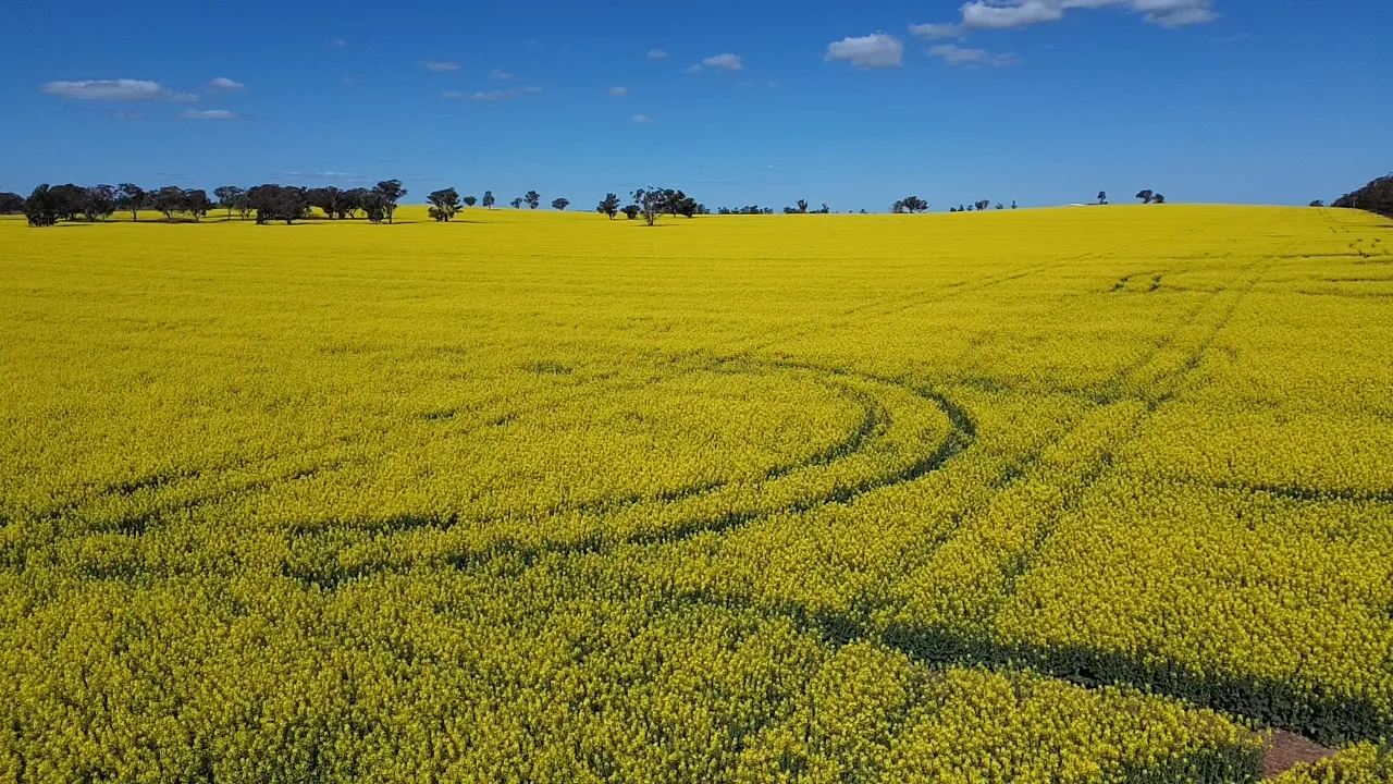 Additional image 12 of 2 Coolamon Road, Coolamon NSW 2701