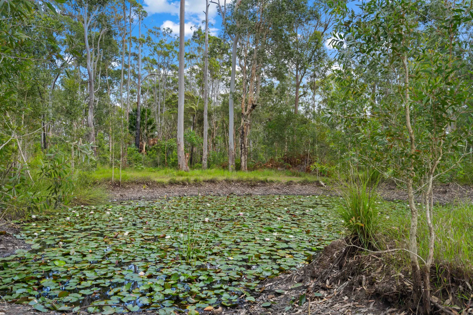 Additional image 4 of 293 Elliots Road, Nabiac NSW 2312