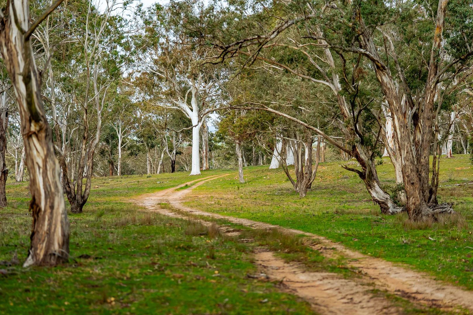 Additional image 18 of 276 Currawang Road, Goulburn NSW 2580