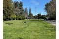 Additional image 21 of 219 Longridge Rd, Los Gatos, CA, 95032
