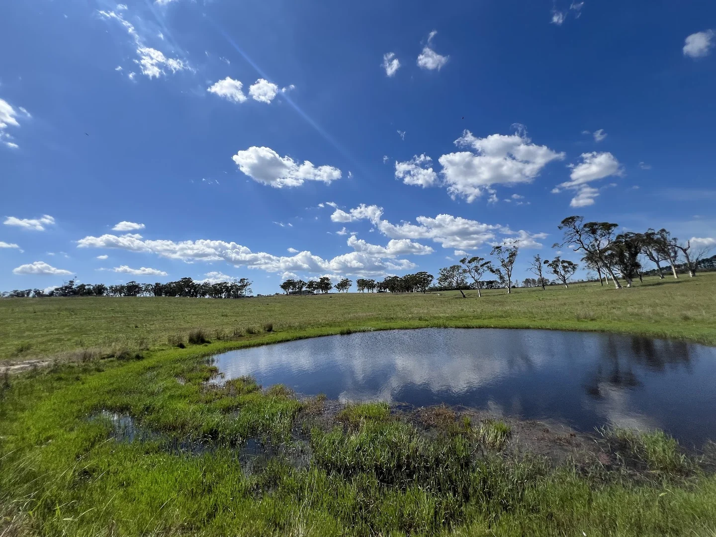 Additional image 39 of 97 Graham Lane, Carrick NSW 2580