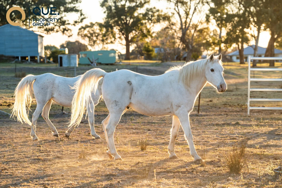 Additional image 24 of 624 Dights Forest Road, Table Top NSW 2640