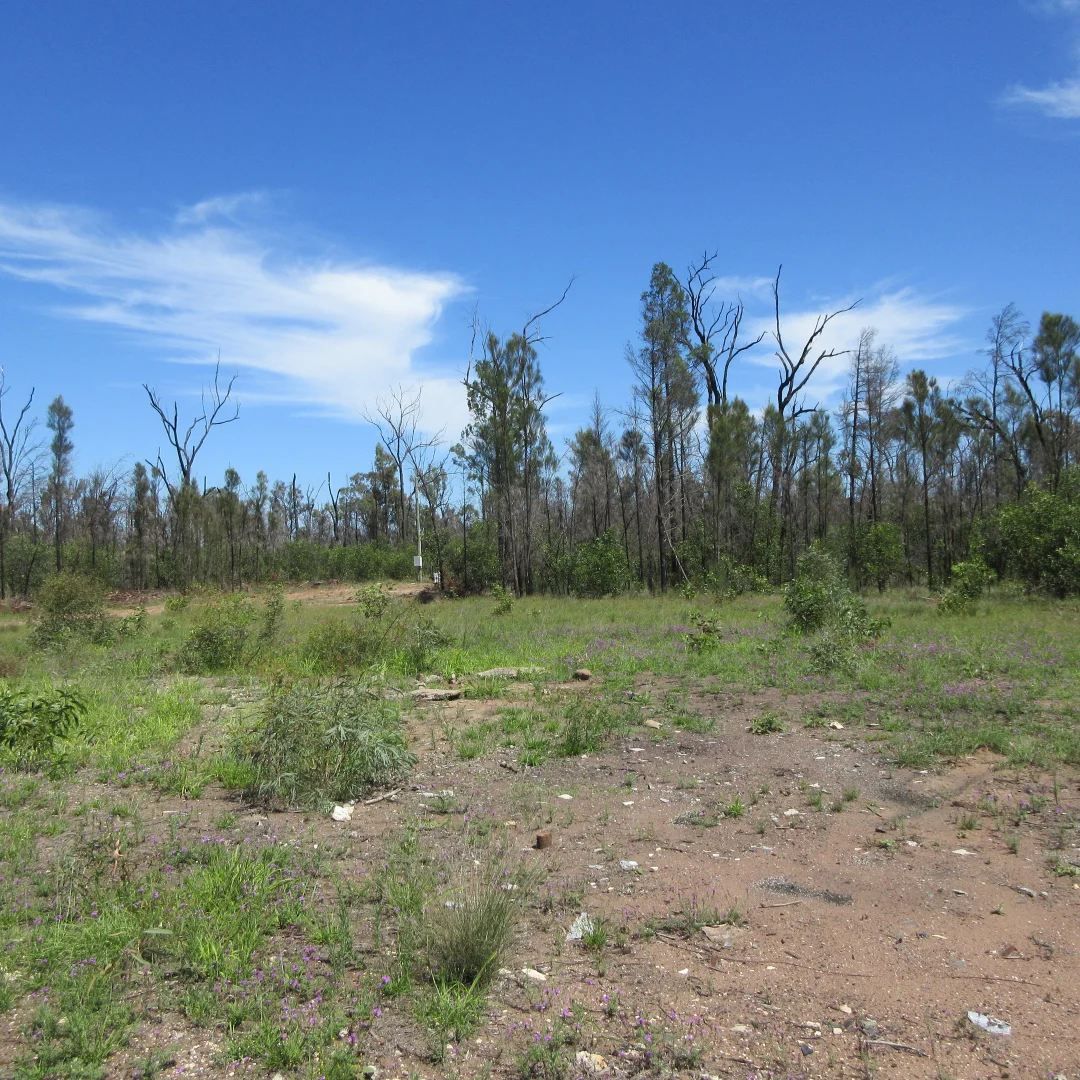 Additional image 5 of #48 Kookaburra Drive, Tara QLD 4421