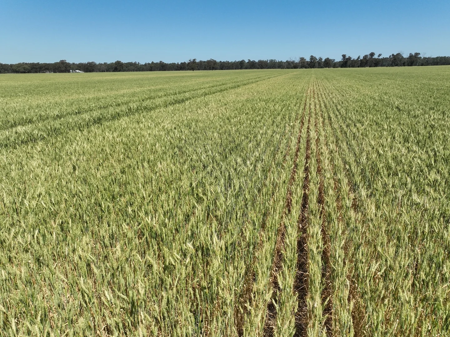 Additional image 4 of 175 Kaarimba Road, Wunghnu VIC 3635