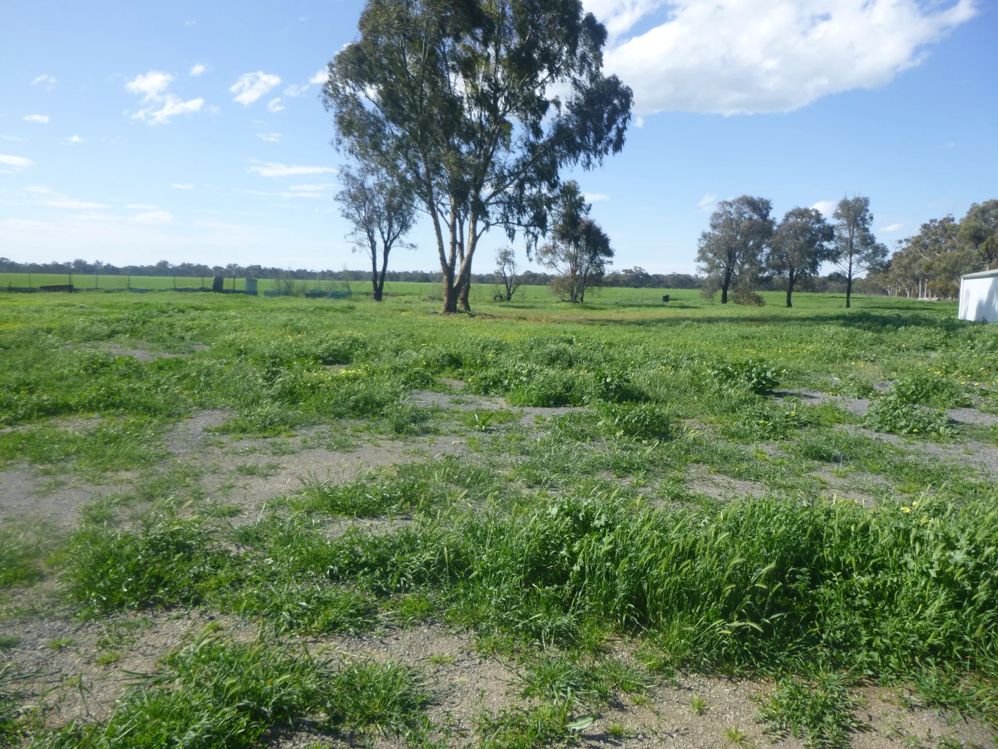 Additional image 3 of 1 Gunyah Flat Road, Charlton VIC 3525