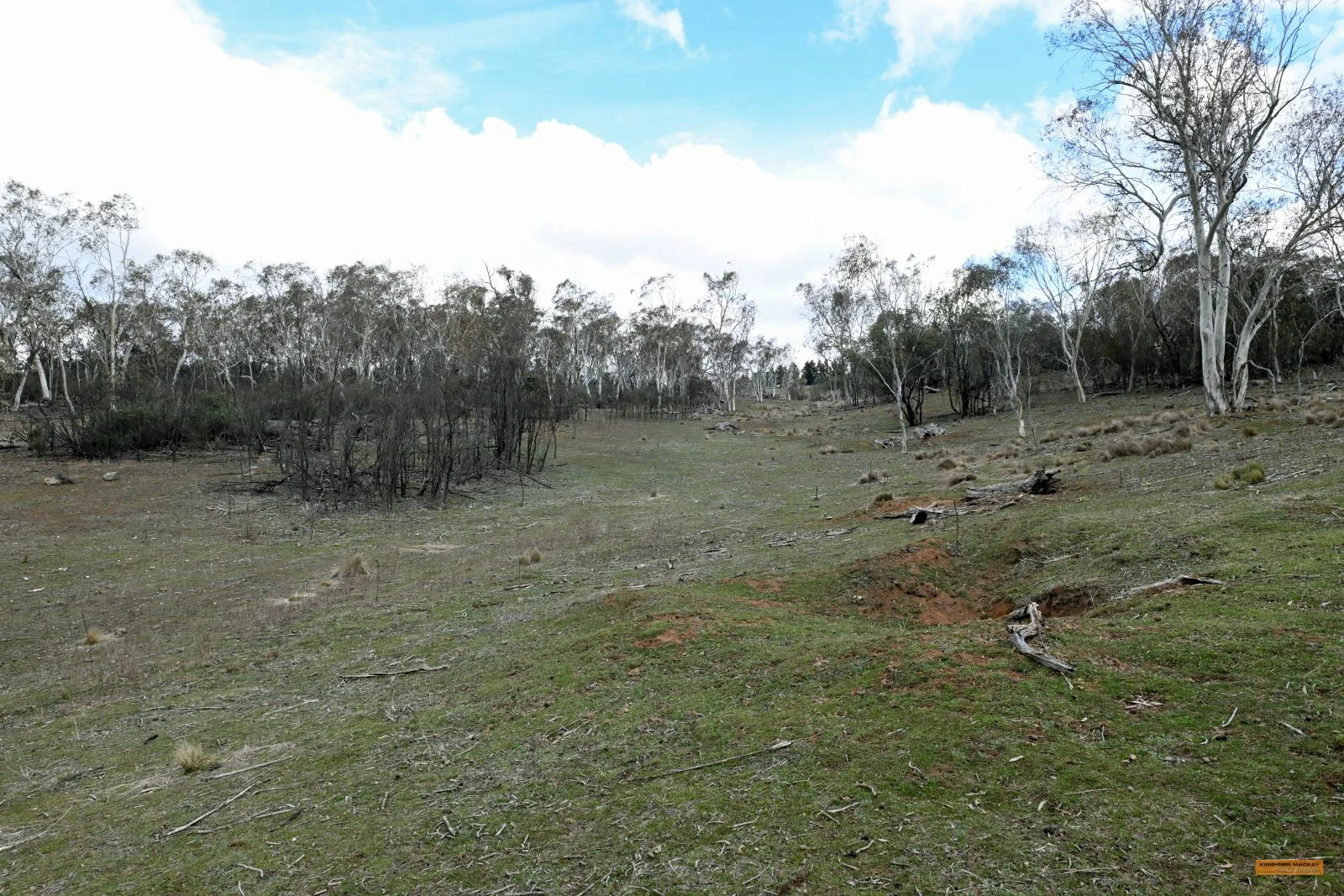 Additional image 13 of "Eagle Heights" 636 Caddigat Road, Dry Plain NSW 2630
