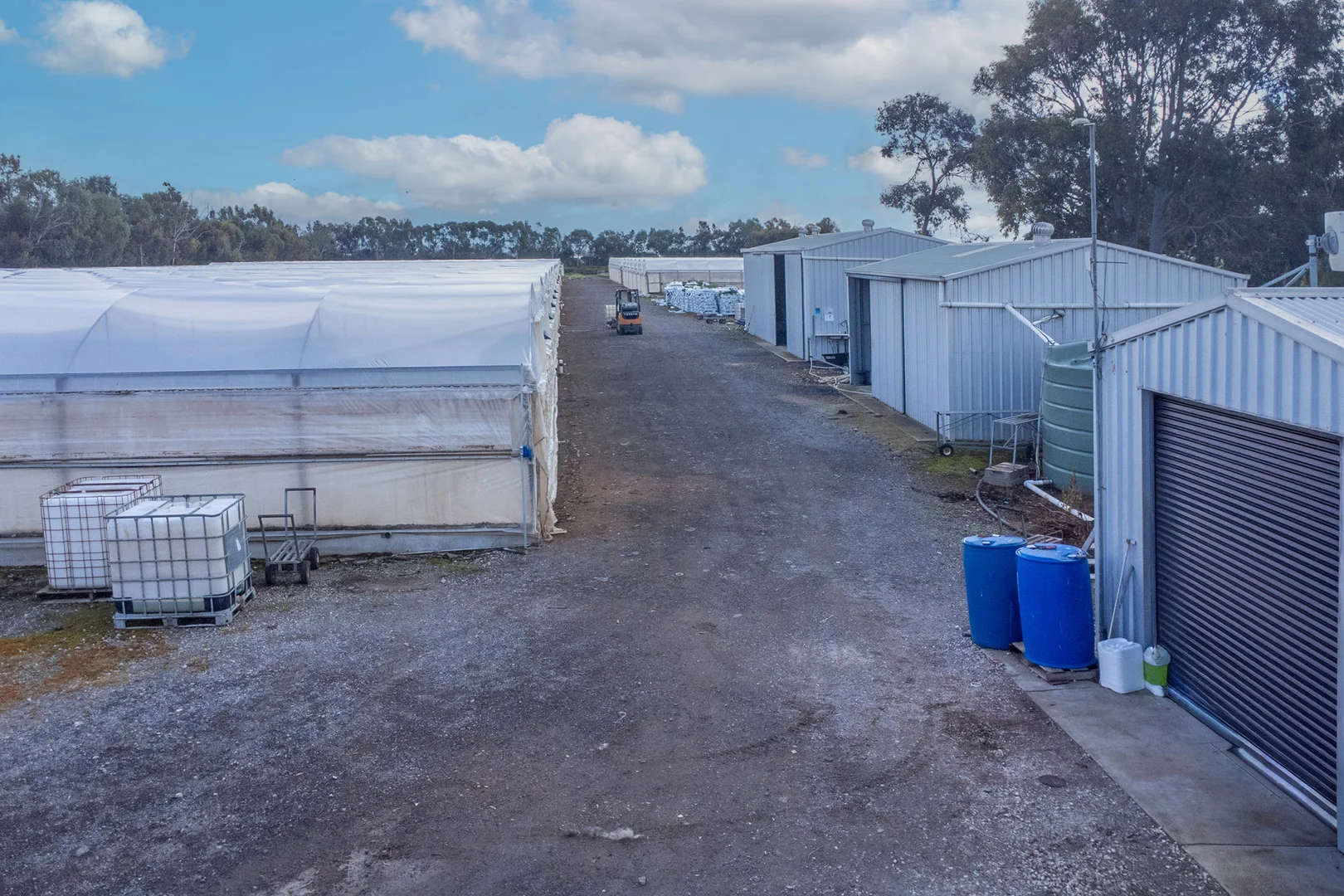 Additional image 13 of 206 Thompson Road, Buckland Park SA 5120