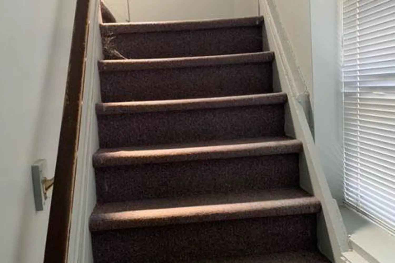 Additional image 7 of 430-432 Grey Street