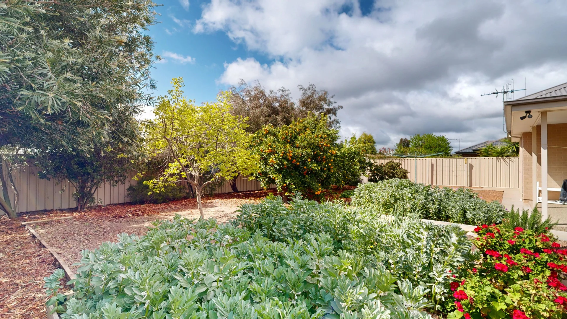 Additional image 22 of 8 Mentone Street, Shepparton VIC 3630